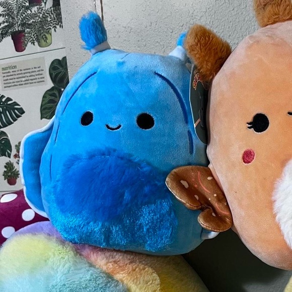 ๐ฆ๐ SQUISHMALLOW Josa Sea Slug Walgreens exclusive plush moth butterfly plush - Picture 4 of 8